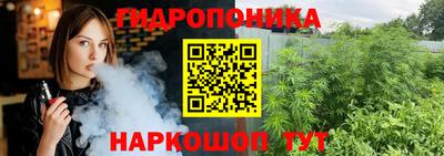 спиды Гусев