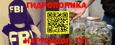 прущие крисы Гусиноозёрск
