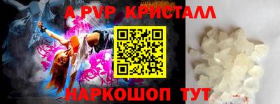 спиды Гусев