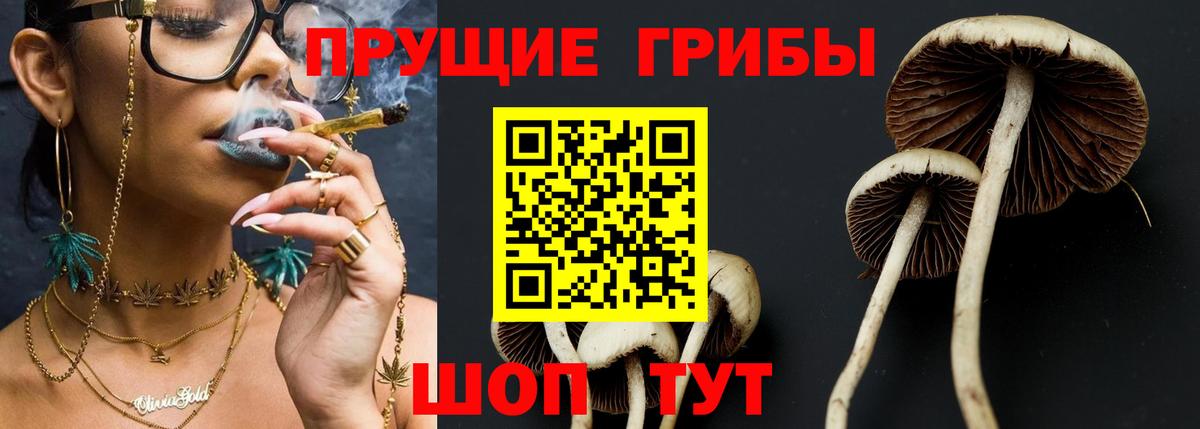 Каспийск  Галлюциногенные грибы Psilocybe  Псилоцибиновые грибы MAGIC MUSHROOMS  Вход с VPN 